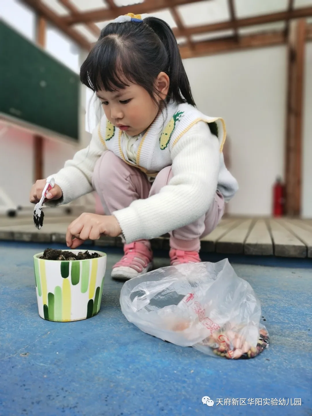 苏醒的种子 萌动的春天丨天府新区华阳实验幼儿园植物育成记