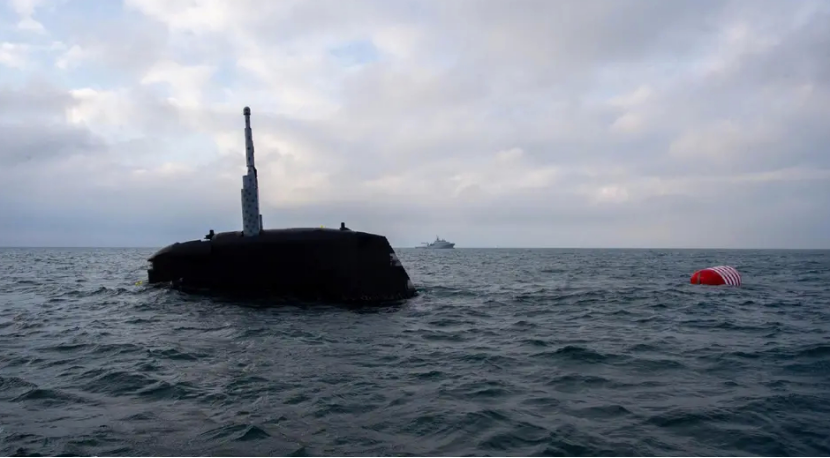 虽为“小身材”但却拥有不凡“本领”的法国海