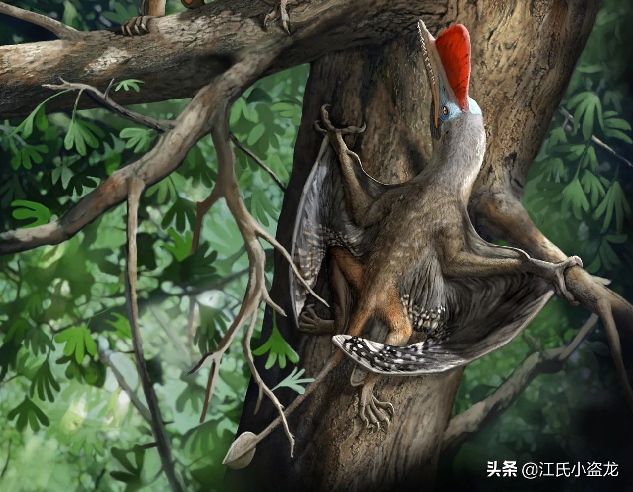 侏羅紀的翼龍竟然會“擒拿手”