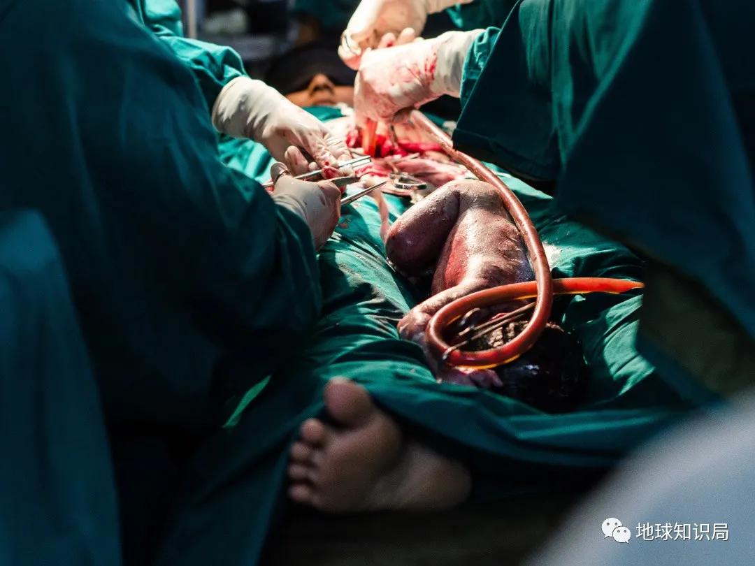 代孕工廠，在這裏 | 地球星空体育官网入口网站局