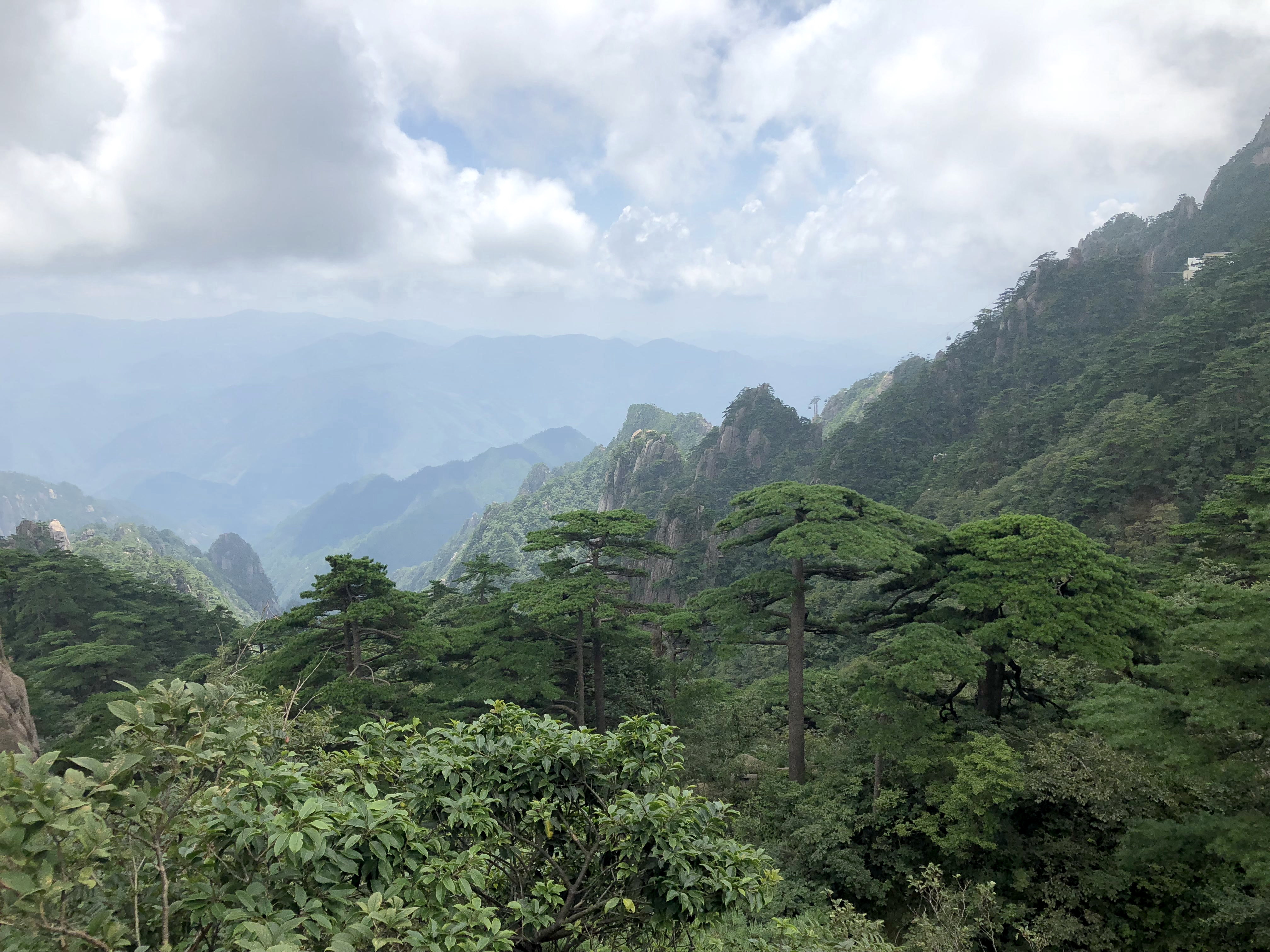 黃山四絕:奇松,怪石,雲海,溫泉