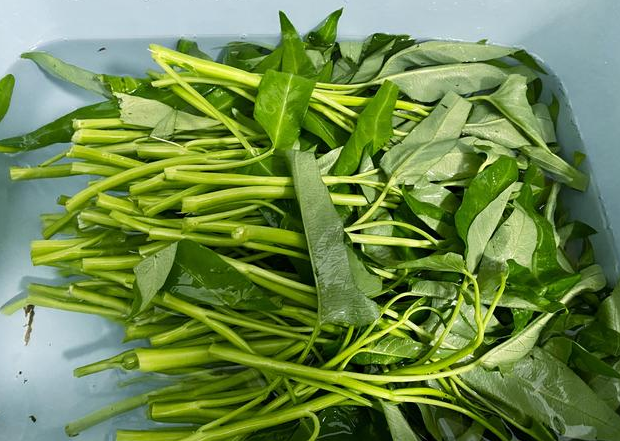 含“寄生虫”最多的2种蔬菜，堪称“虫窝”，很多人还天天吃