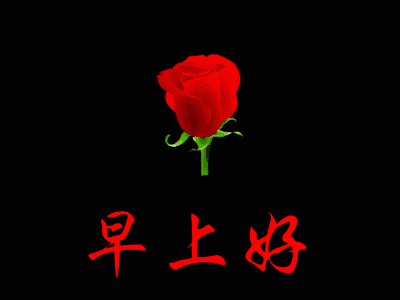 早上好动态图片大全，早安图片图片