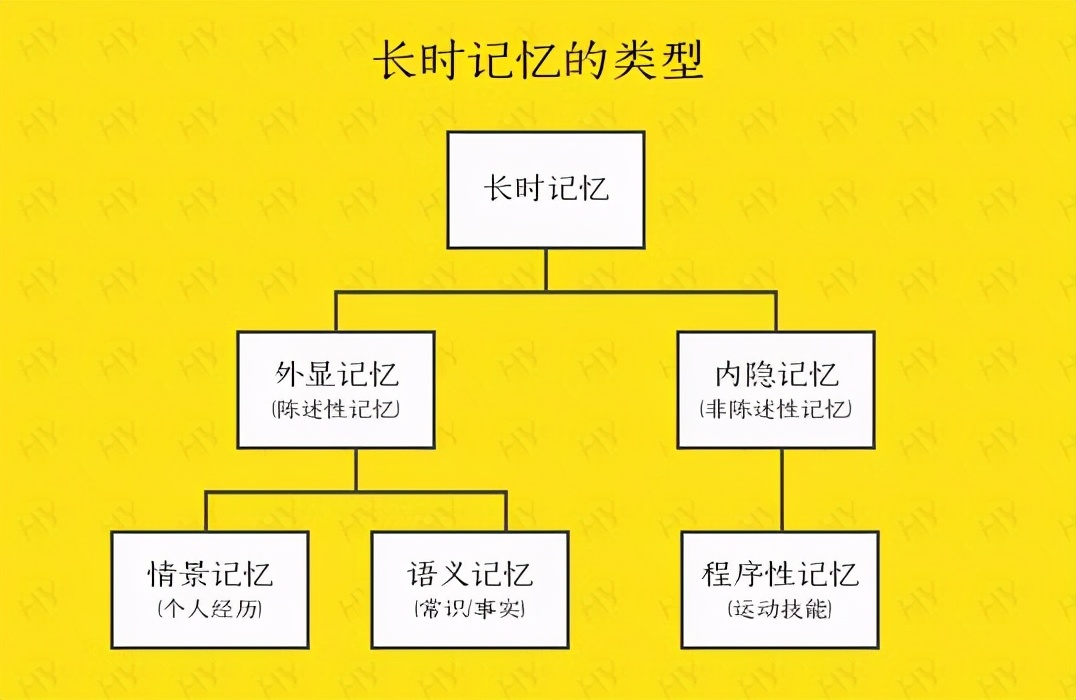 科学探索:你三四岁前的记忆去哪里呢?人类的幼年记忆为什么会丢失?