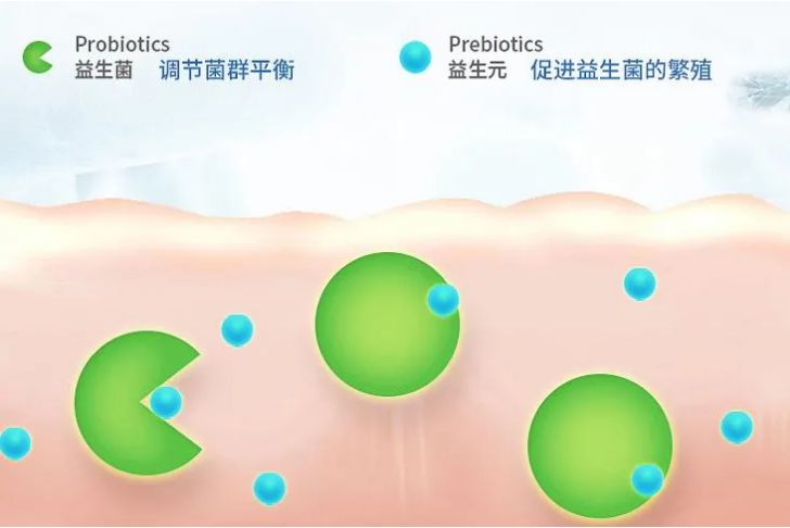 食用益生菌到底是啥？别再傻傻分不清啦