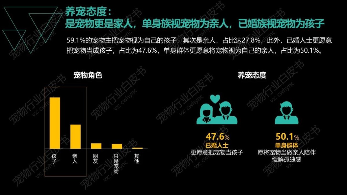 氪金火烧到宠物市场，年轻人凭什么愿意买单？