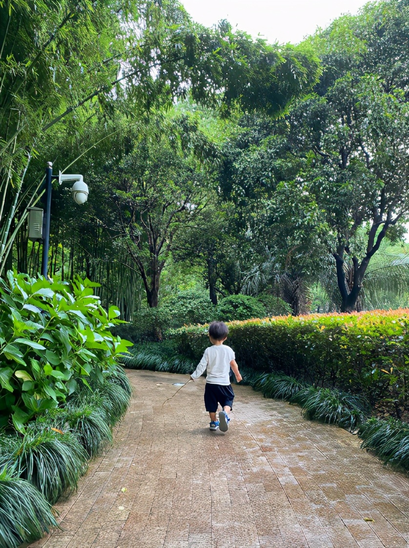 蔡少芬公园遛娃，2岁鱼蛋撸起袖子拿着竹竿，似执剑行侠仗义萌翻