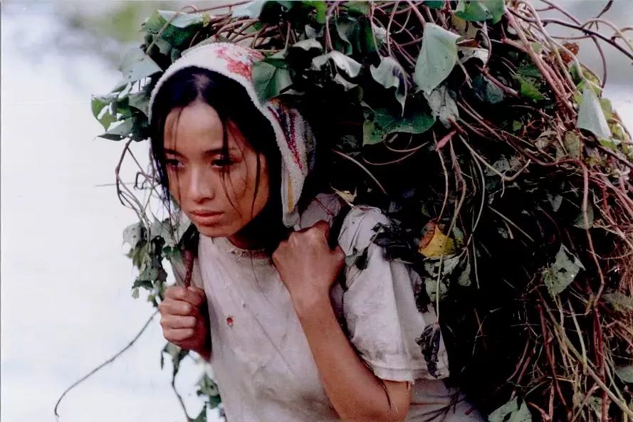 靳东与妻子罕见同框秀恩爱!手挽手同行显甜蜜