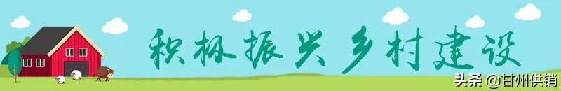 2021年乡村建设工作重点