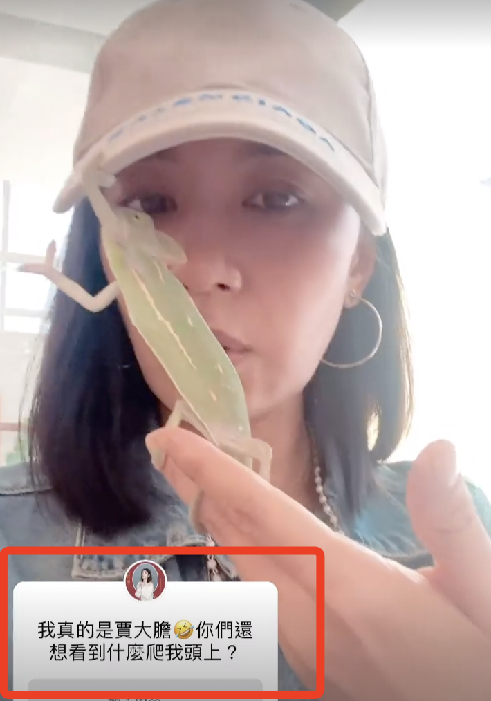 賈靜雯曬咘咘在脖子上掛兩條蛇人美膽大，女漢子波妞卻不淡定了