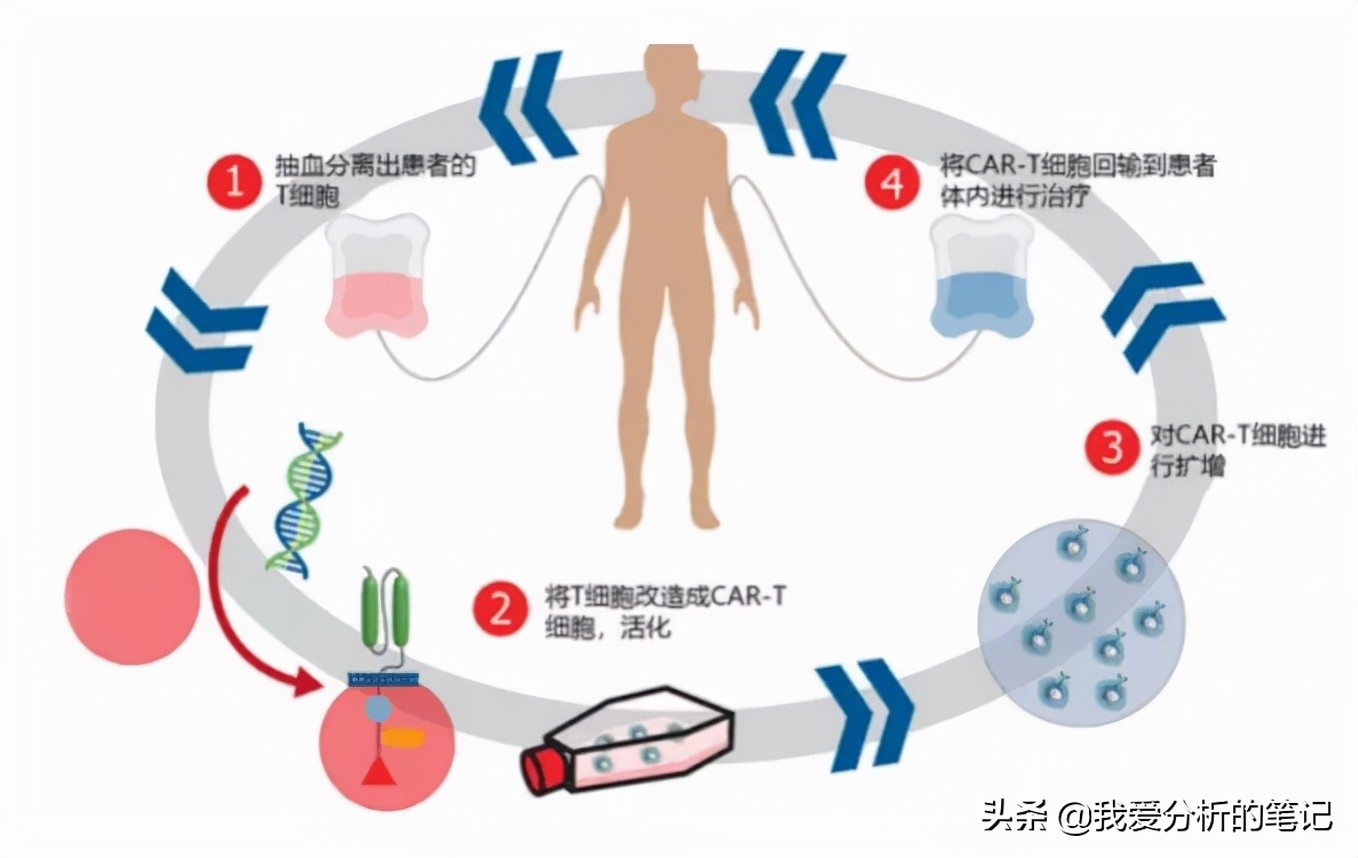 复星医药：120万一次治疗癌症获批，增加多少收入？