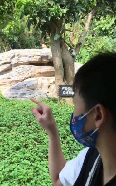 全红婵太开心了！接了广告后又逛动物园，还疑似入住超豪华酒店