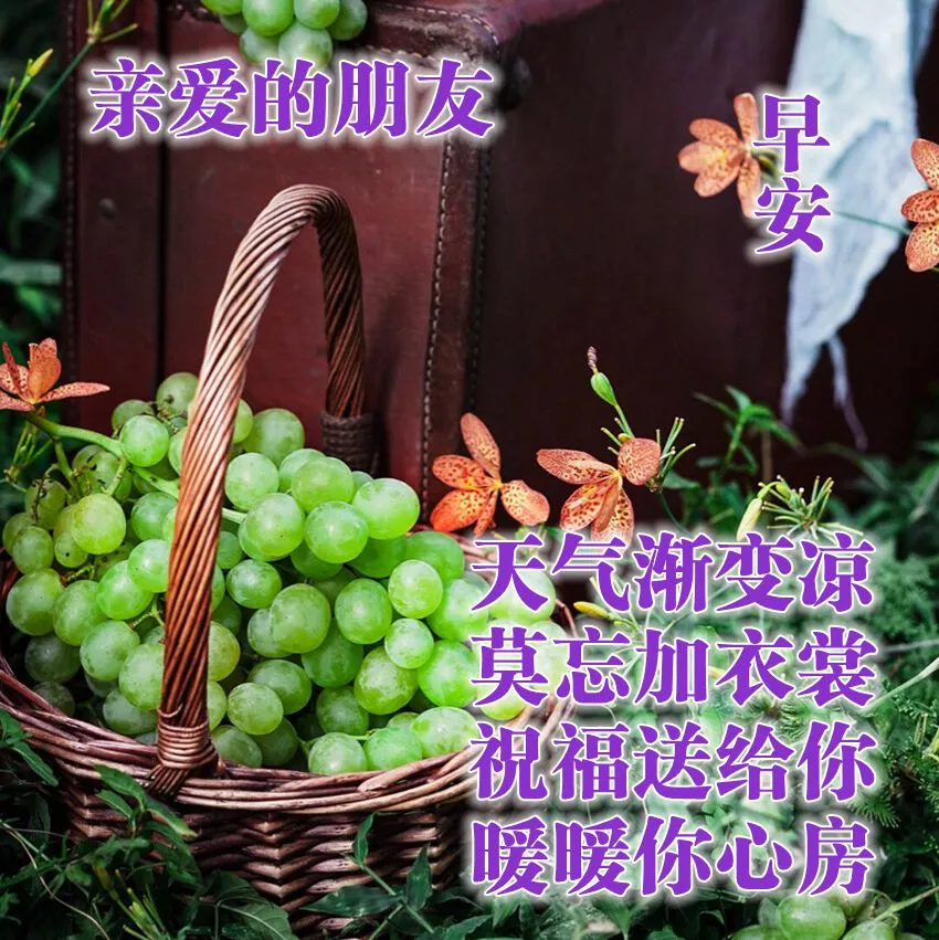 早上好表情动态 祝福语问候语 图片