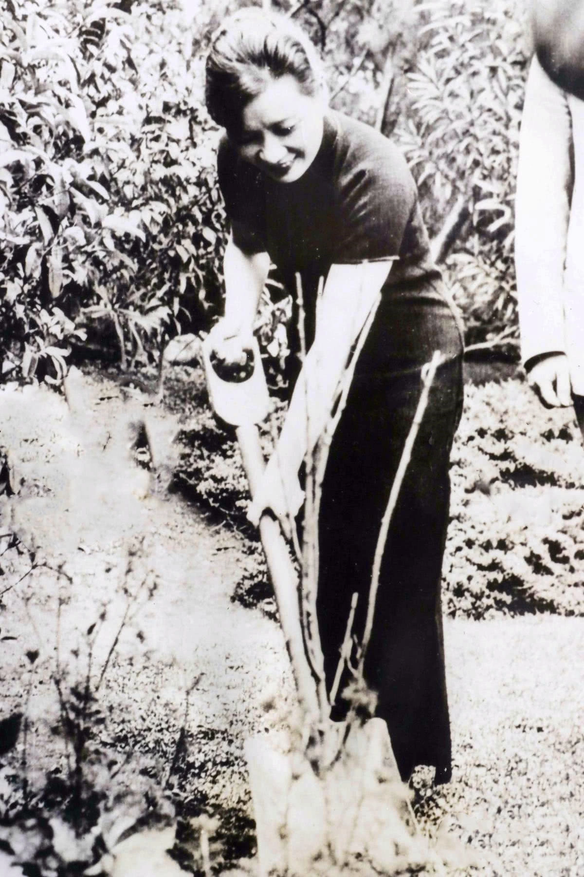 民国老照片：吃大锅饭的蒋介石，在杭州挖土种树的宋美龄！