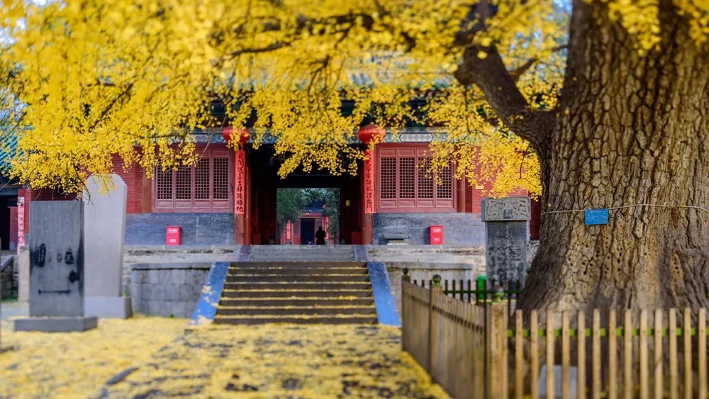 Laojun Mountain, the closest place to wonderland in China!  The sea of ​​clouds is comparable to Wugong Mountain, and the sunrise does not lose to Huangshan