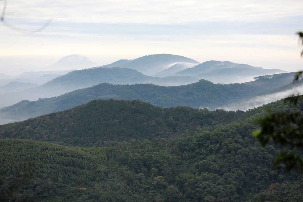 2020海南·白沙热带雨林大穿越全国挑战赛成功举办