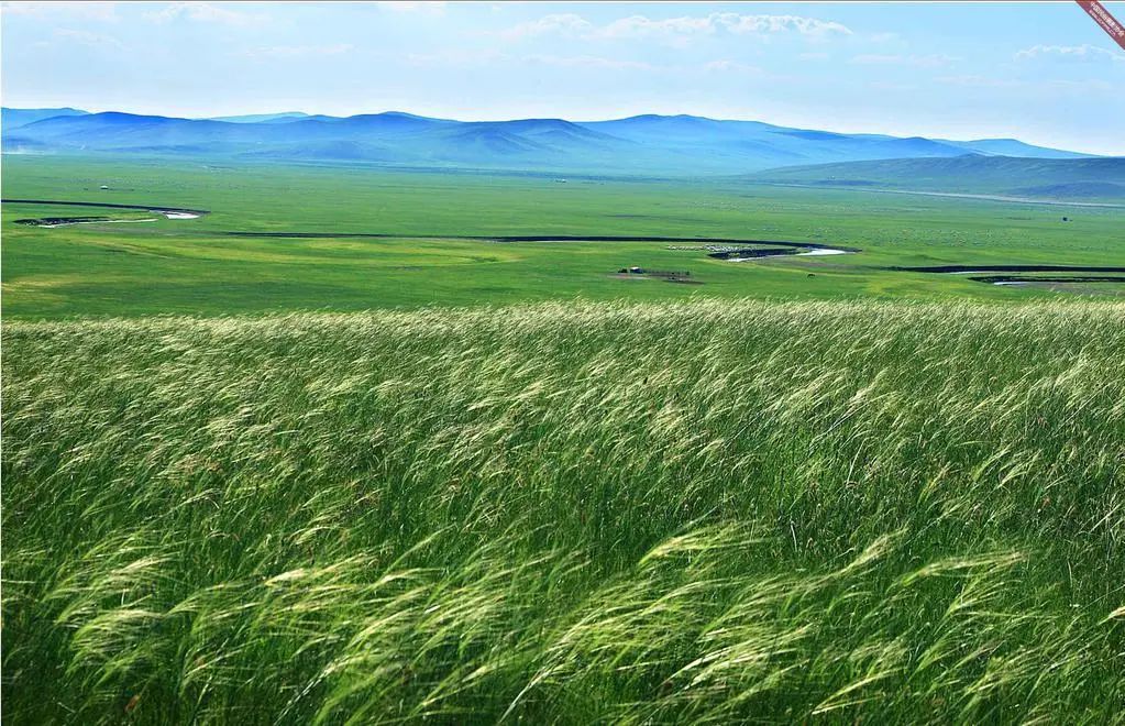我们大内蒙，究竟“大”在哪里？