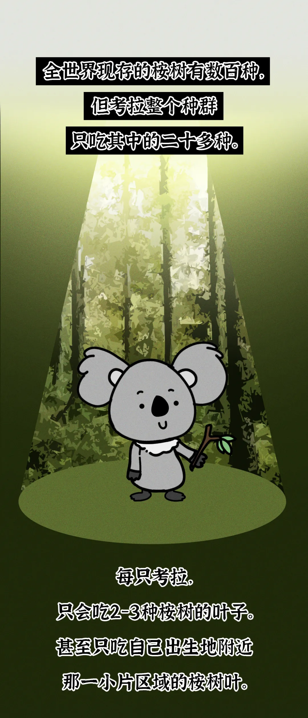 吃屎長大，一生嗑“毒”，這么萌的動物卻這么慘？