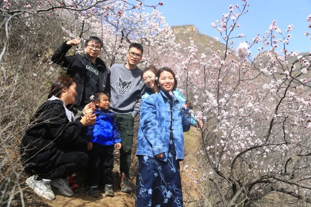 春游踏青 | 青创会组织首次户外烧烤，赏漫山桃花