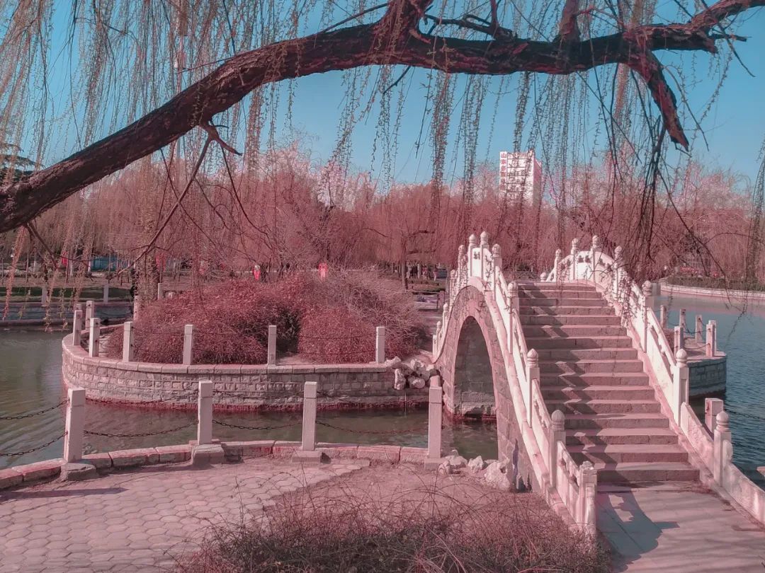 《唐诗三百首》最催泪的一首诗，前两句平平无奇，后两句流传千古-第4张图片-非凡网