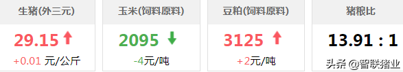 今日猪价！三部门联合开展违法违规调运生猪“