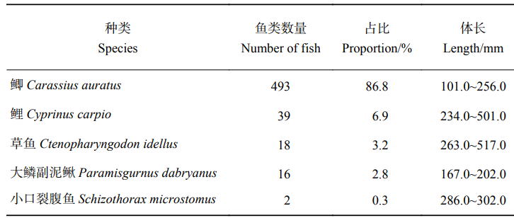 泸沽湖的财富：曾年产50万斤野生鱼，能否改造成“人工鱼库”？