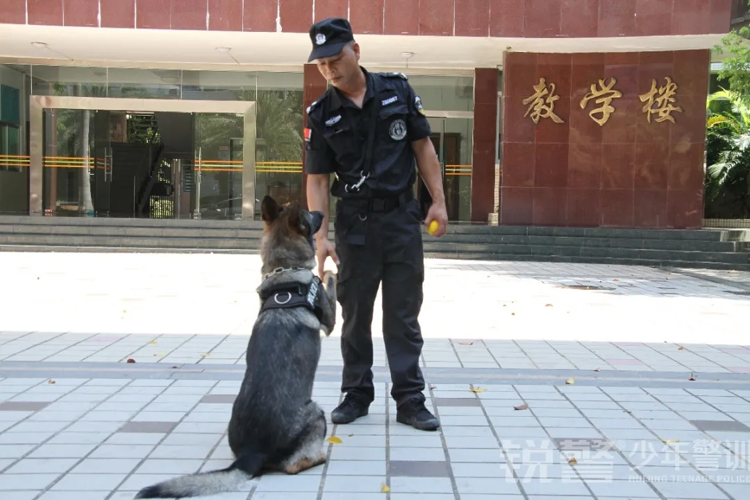 广东警官学院少年警训夏令营：这是成长该有的样子