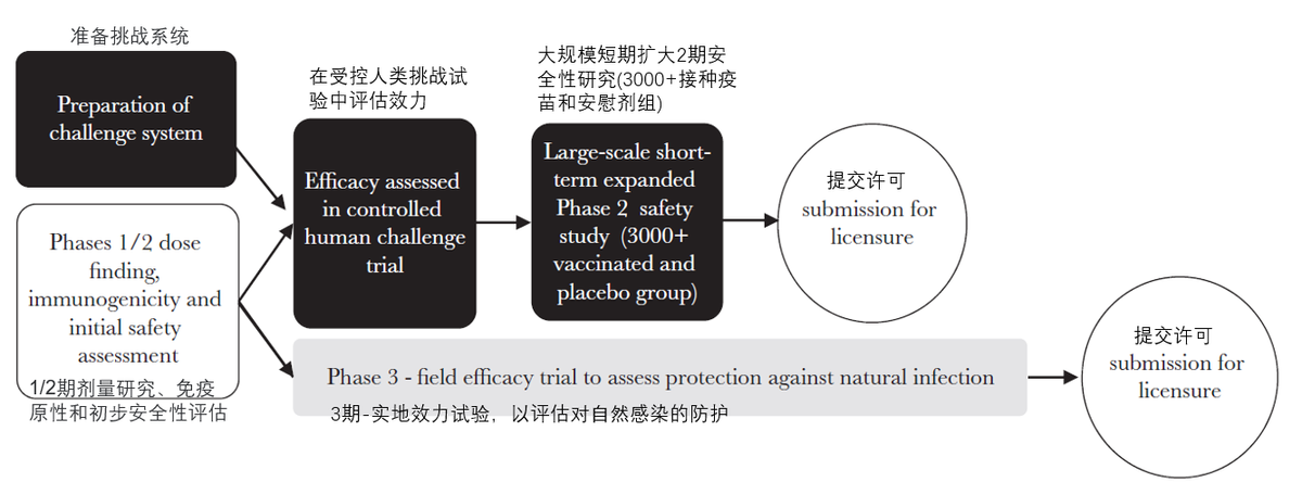 英國要做新冠病毒的人體試驗？先別急著罵，看完再……