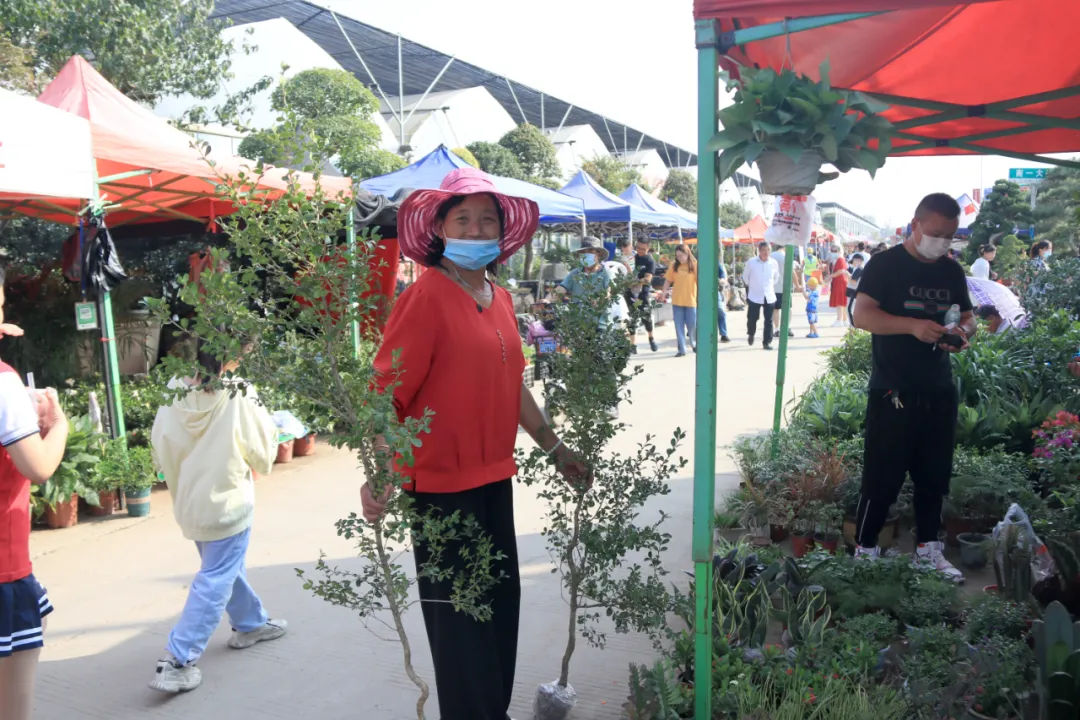 花木節(jié)現(xiàn)場人氣火爆，盆景資材銷量可觀