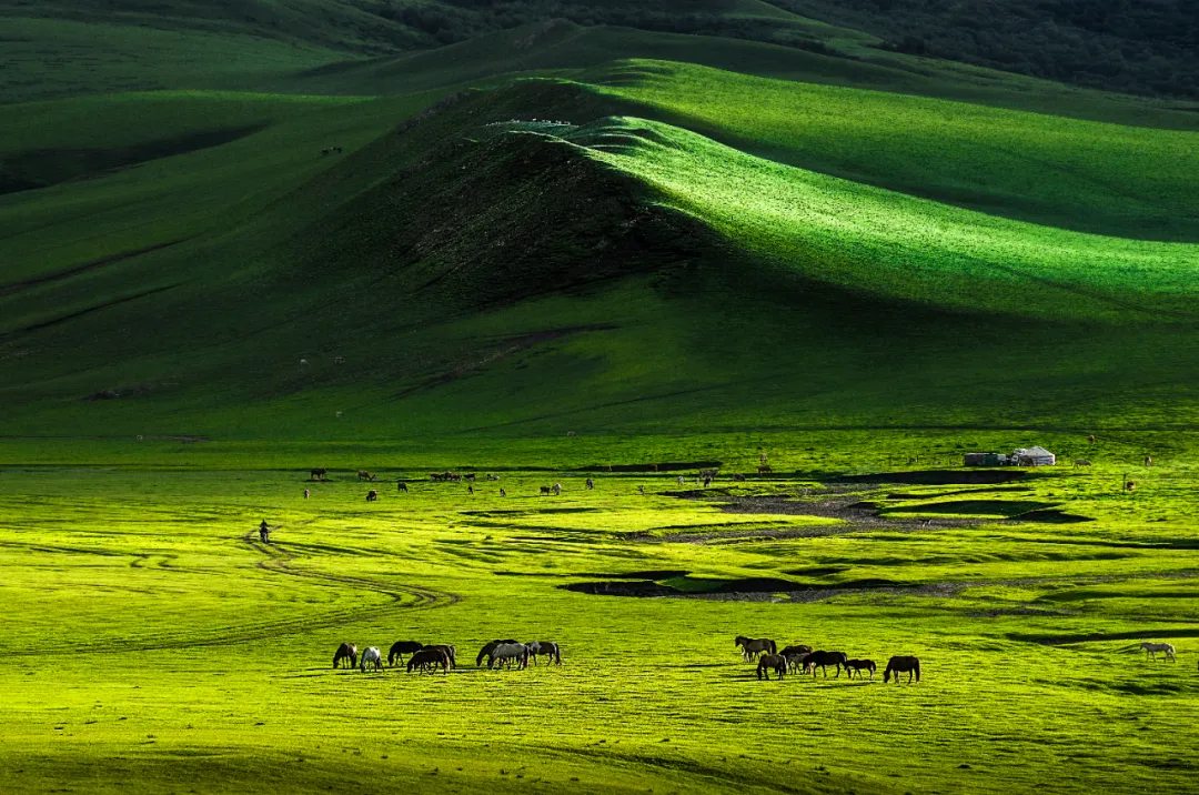 Chifeng, Inner Mongolia, northeast or north China?