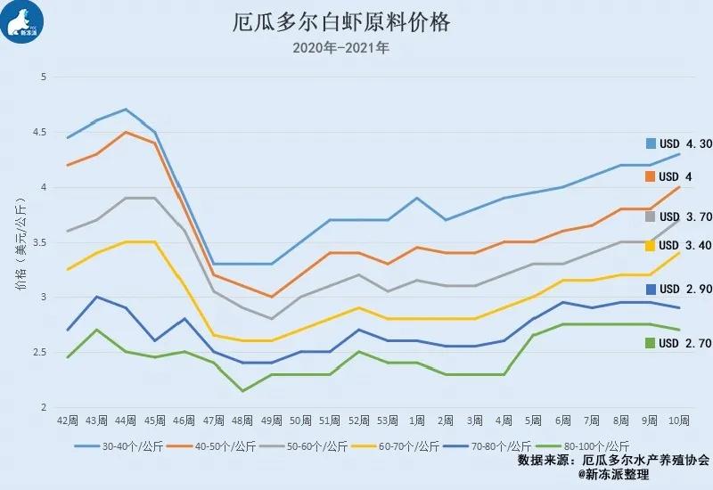 厄瓜多蝦價格10連漲的這把 火 什麼時候燒到中國 暉仔運營師 Mdeditor