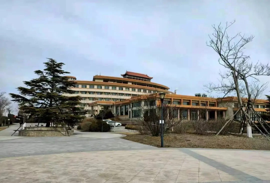 大连湾，会是下一个洼地？