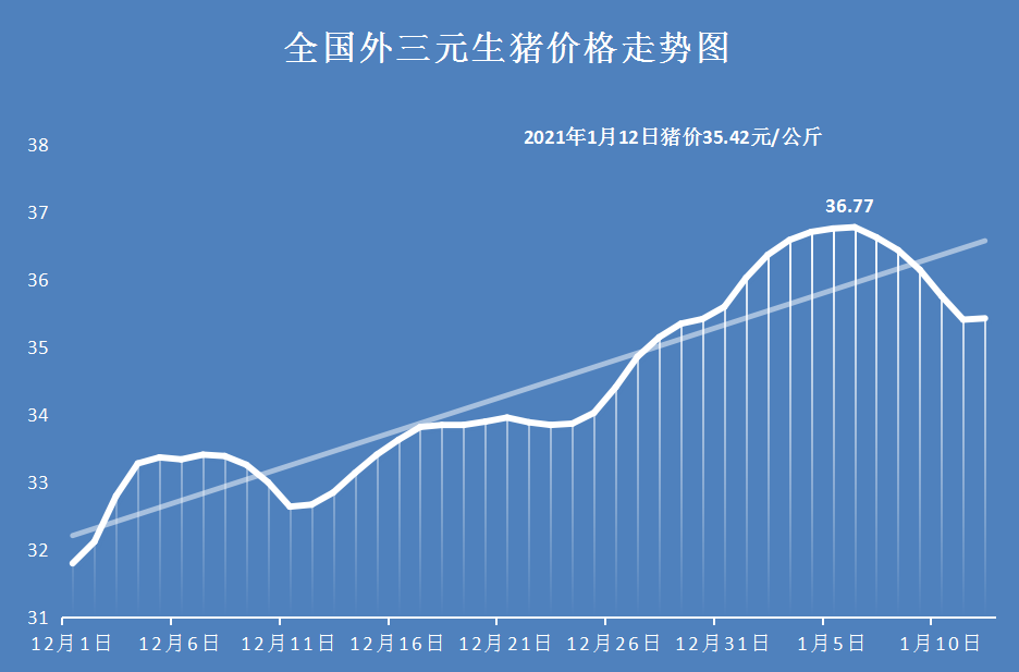 Go no further of price of 12 days of pigs drops repeatedly, prices sole rebounds, price of 4 bad news pigs rises transitory