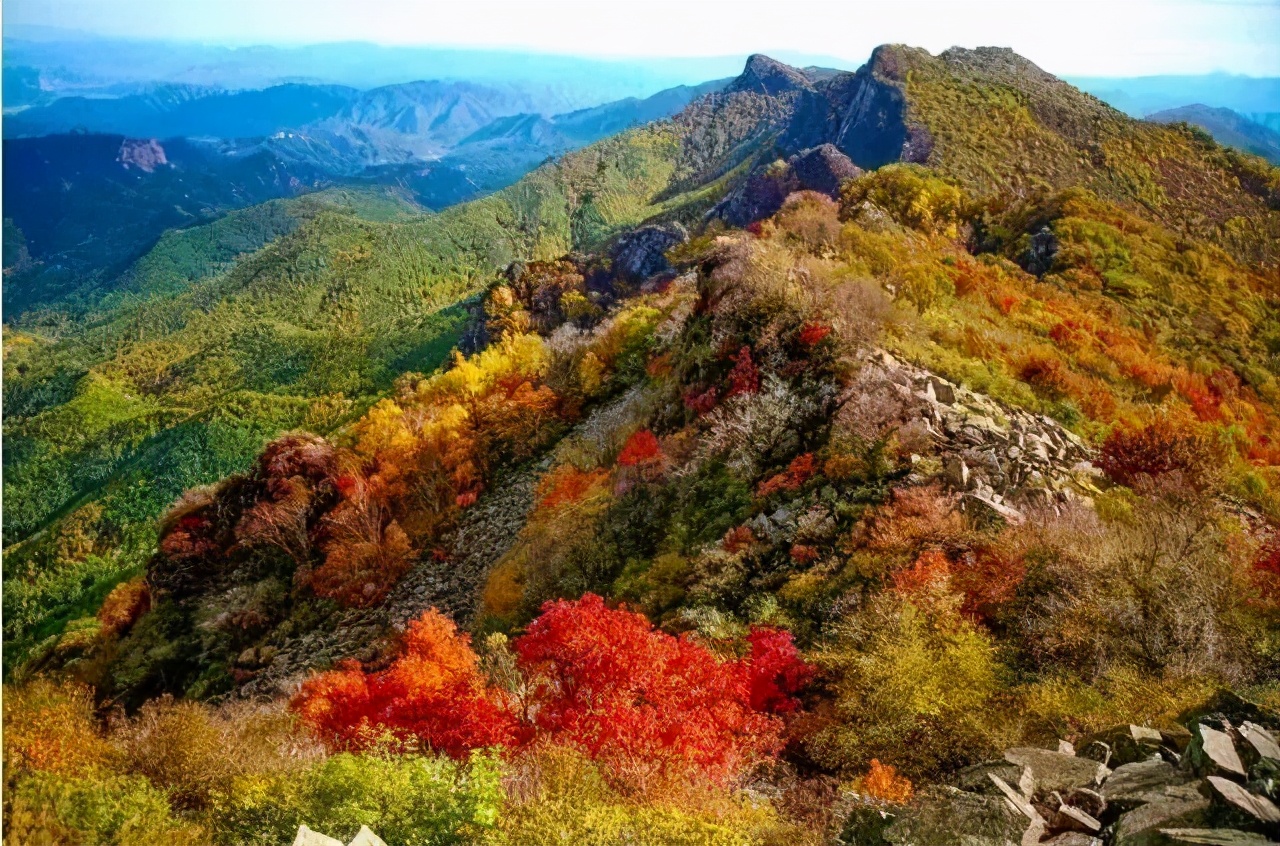 Missing these 14 maple viewing areas in November is equivalent to missing the entire autumn