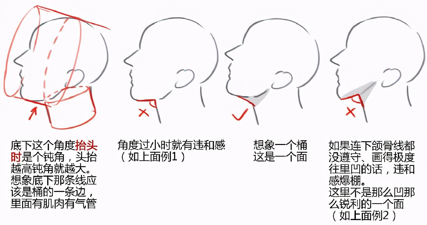 仰视角度的下巴和脖子怎么画？教你绘制人物下巴和脖子的关系体现