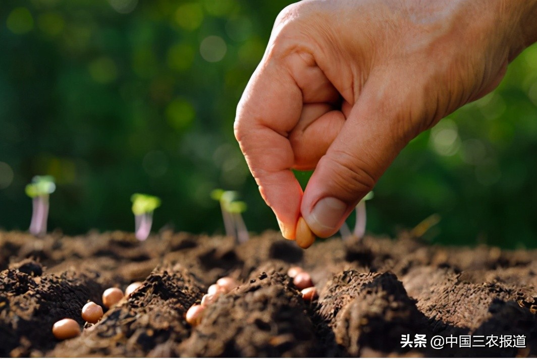 精简版“两会”三农亮点，一文读懂