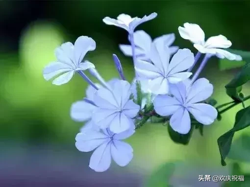 早安问候语简短一句话 早上好祝福短句子