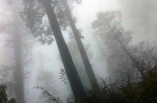 “黄泉路”竟真实存在！已被封锁禁止进入，专