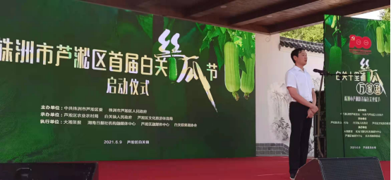 湖南芦淞：小丝瓜擘画大蓝图