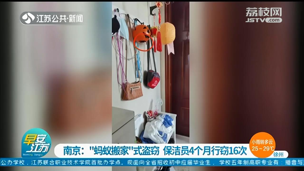 “蚂蚁搬家”式盗窃 南京一保洁员4个月行窃16次