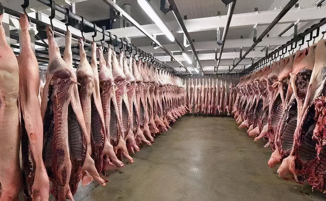 猪价“坐滑梯”，行情遇冷8连跌，10元猪价成必然？5月猪价有变？