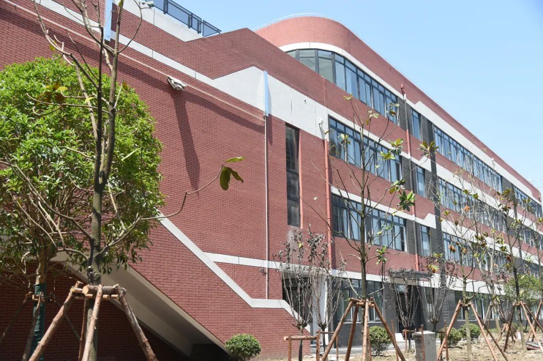 城中路小學東校區(qū)怎么樣?已竣工,9月啟用(圖4) 城中路小學東校區(qū)怎么樣?已竣工,9月啟用(圖4)