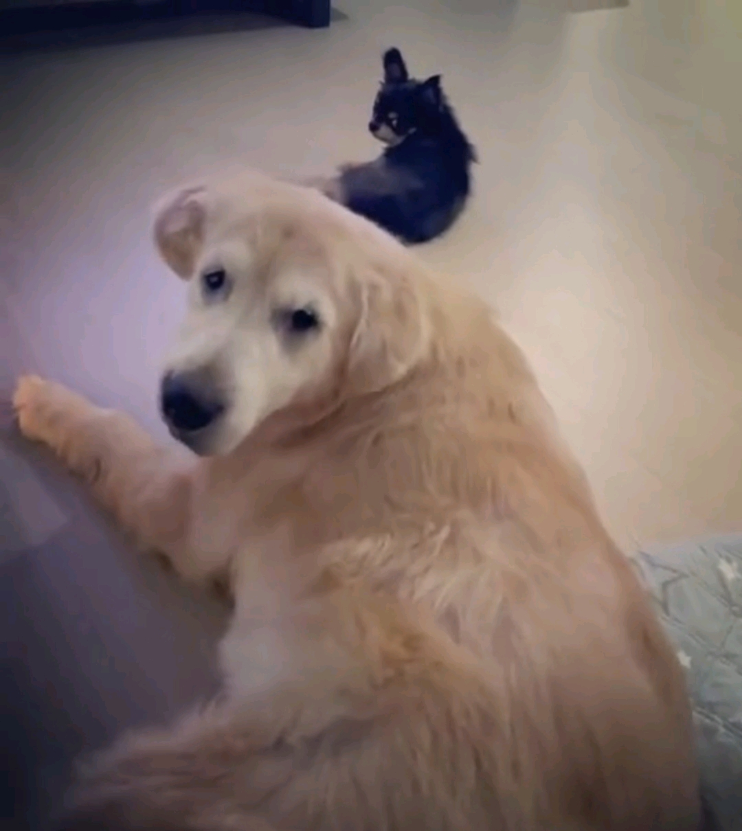 具惠善精神勝利？ 熬夜工作，嘴唇都開裂，露出的胳膊又是怎麼回事