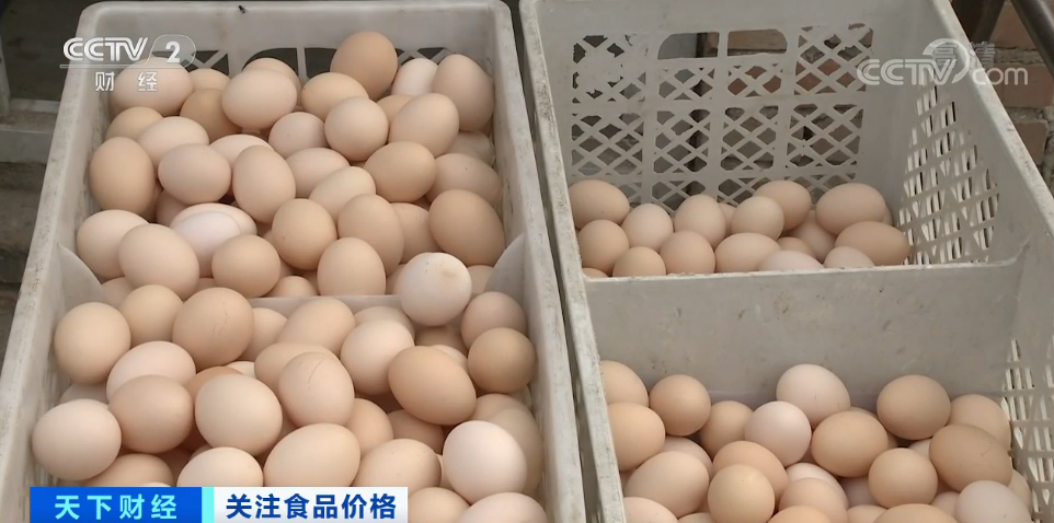 鸡蛋价格大跌近30%，养殖户卖一斤亏0.7元！一降