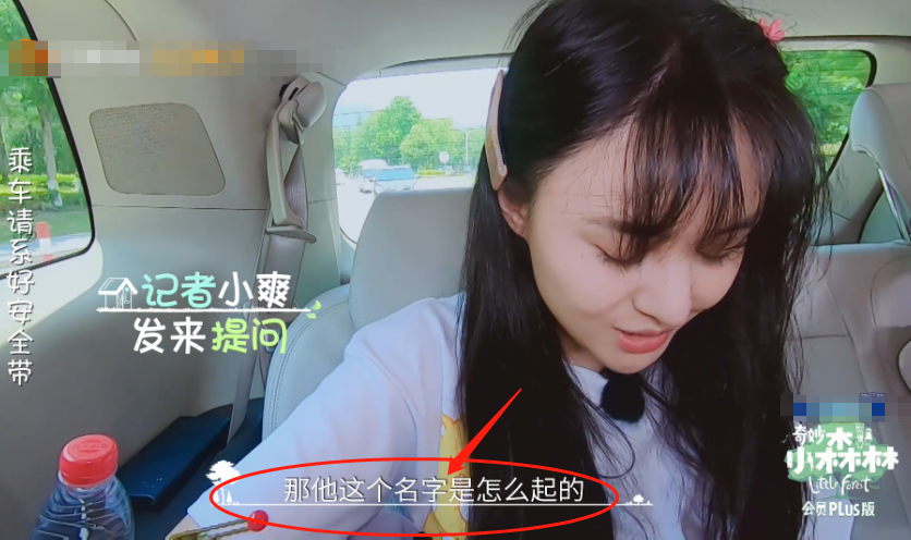吴奇隆节目首谈儿子，公开小名“步步”含义，都是对刘诗诗的爱啊