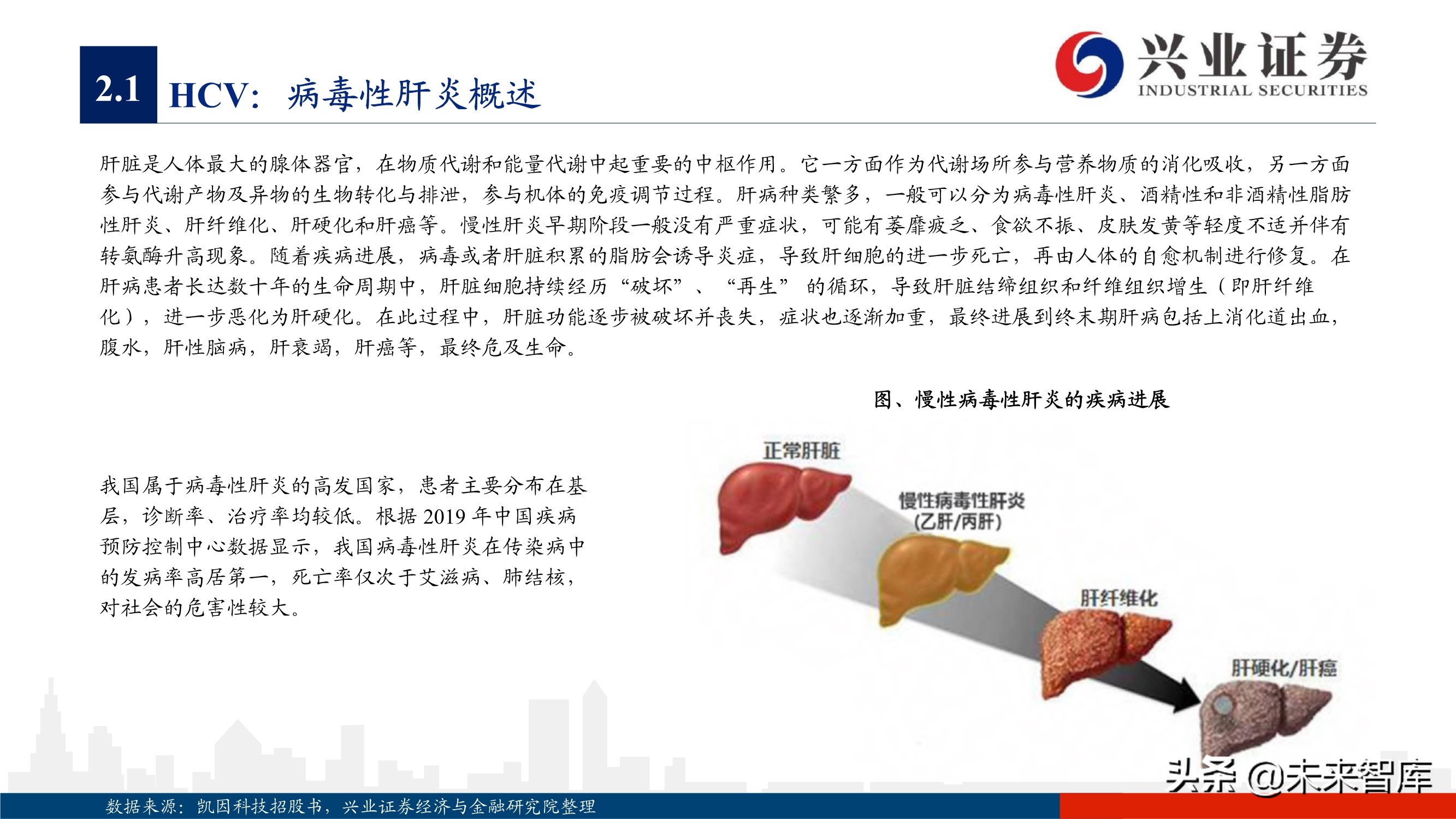 抗病毒药物150页深度报告：新冠映射下的价值洼地