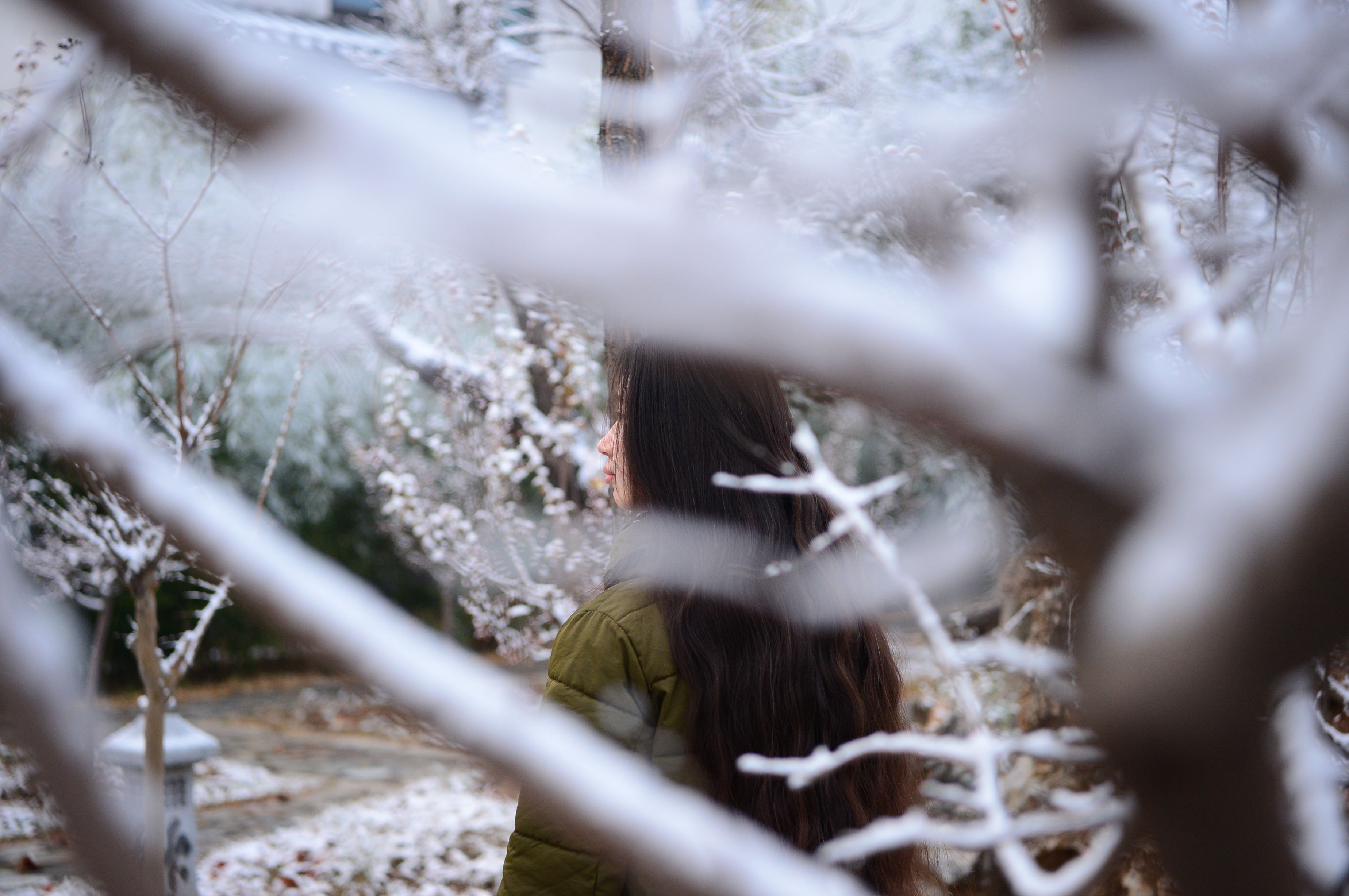 赤水湾：《雪》