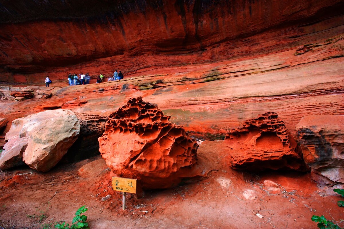 貴州省到底有多少個國內外第一？