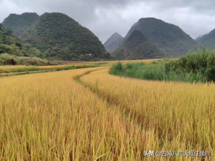 秋天，出去走一走，看看美景吹吹风
