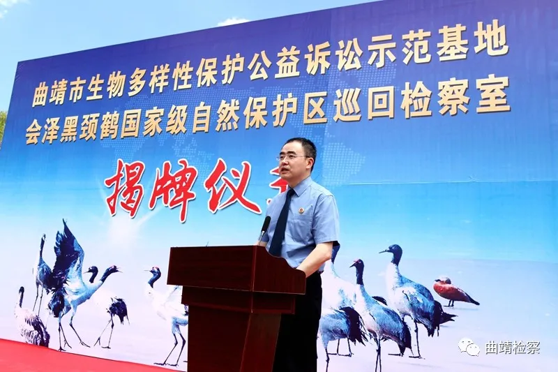 【我为群众办实事】曲靖:“基地+检察室”助力生物多样性保护 同心协力 共建万物和谐的美丽家园